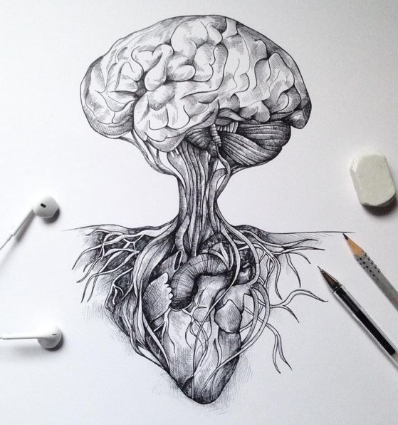 heart and brain